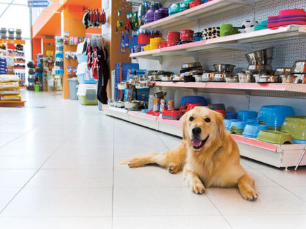 Established Pet Shop