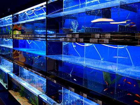 Established Pet Shop
