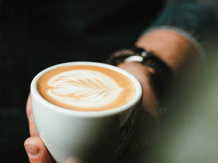 Cairns Cafe for Sale | Established Food & Hospitality Business