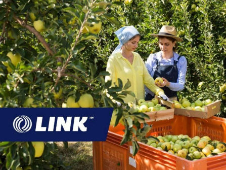 Premium Cider Brand with National Distribution