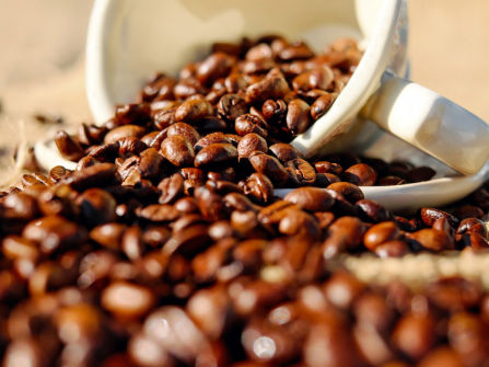 A Very Busy Franchise Coffee Club For Sale in Armadale