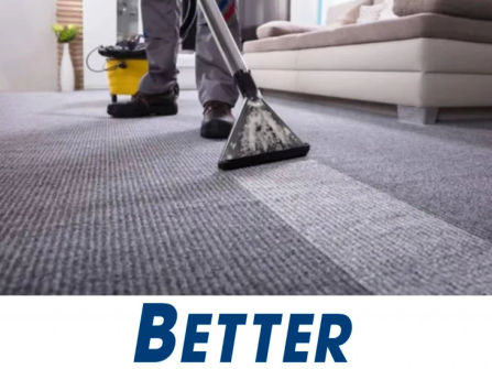 Carpet Cleaning & Pest Control $172,000 Profit