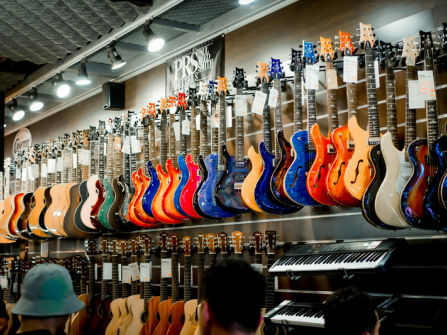 Thriving Music Store, Tuition School, Penrith | ID: 1181