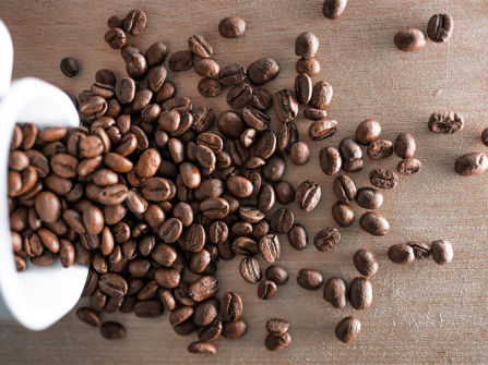 UNDER OFFER Thriving Cafe in Prime Plaza Location $166K Net Profit