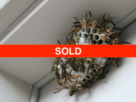 SOLD Carpet Cleaning & Pest Control Business Chermside QLD