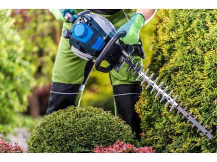 34548 Profitable Arboriculture Business - Growth Potential