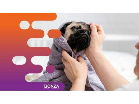 35061 Thriving Dog Grooming Business in Prime Location