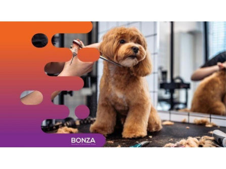 35061 Thriving Dog Grooming Business in Prime Location