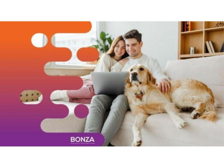 35477 Two Profitable Pet Product Retail Stores With Online Store