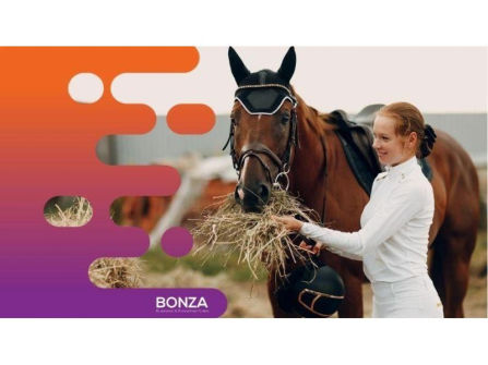 35477 Two Profitable Pet Product Retail Stores With Online Store