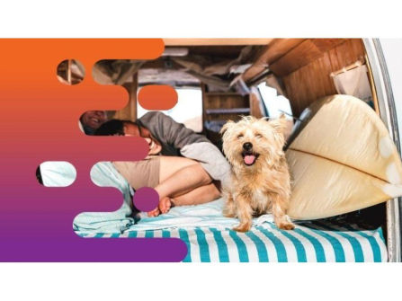 35537 Profitable Campervan & Car Rental Business - Ready for New Ownership