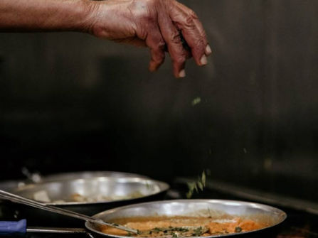Stunning Modern Indian Restaurant for Sale Near Point Cook
