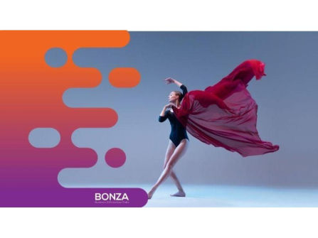 35622 Profitable Online Dance & Performance Retailer  16+ Years of Success