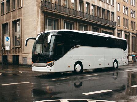 Established Mid North Coast Coach Tour Operator - 1031