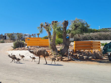 The Best Shark Bay Caravan Park For Sale