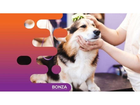 36130 Highly Reputable Pet Grooming Salon in Prime Location