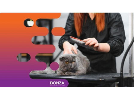 36130 Highly Reputable Pet Grooming Salon in Prime Location