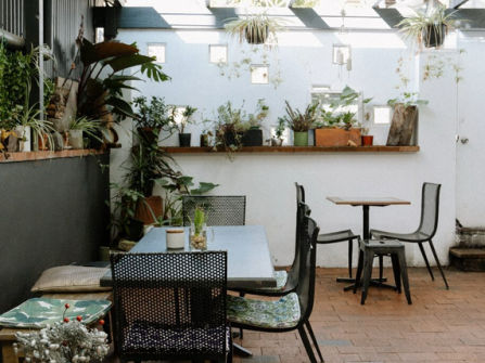 $700K–$800K+ Annual Revenue, Character-Filled Inner-City Cafe with Huge Growth Potential