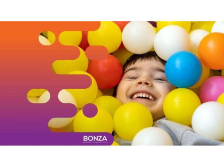 36182 Profitable Kids' Soft Play Hire Business  Flexible Opportunity