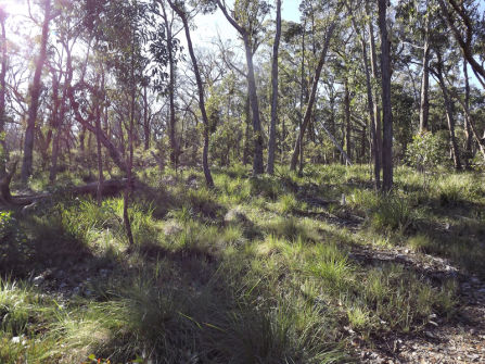 Lifestyle Block Only 10 Mins From Town