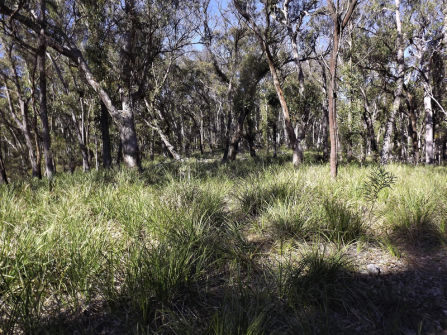 Lifestyle Block Only 10 Mins From Town