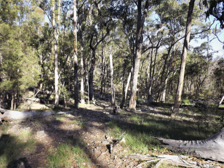 Lifestyle Block Only 10 Mins From Town
