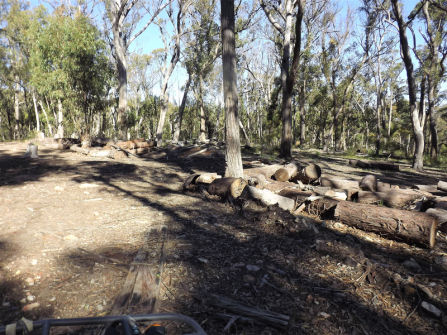 Lifestyle Block Only 10 Mins From Town