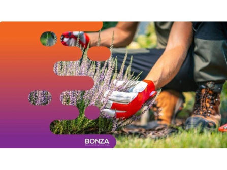 36202 Thriving Landscape Construction Business  Established & Profitable