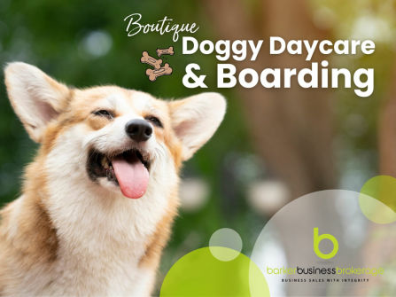 Boutique Doggy Daycare & Boarding - Wellington Region