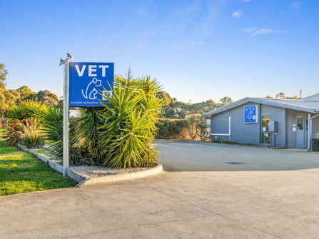 Longstanding Small Animal Veterinary Practice with Loyal Clientele & Modern Facilities