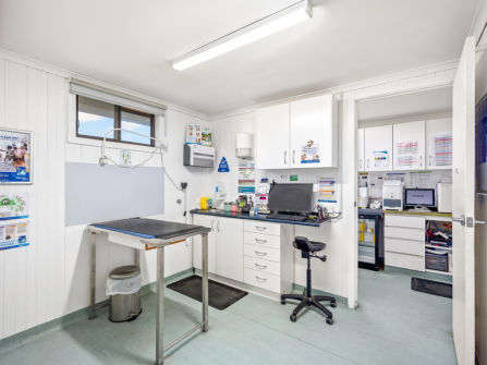 Longstanding Small Animal Veterinary Practice with Loyal Clientele & Modern Facilities