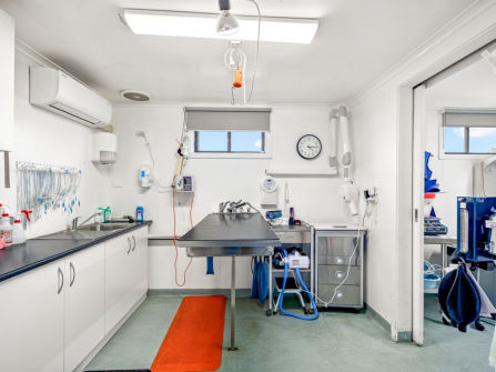 Longstanding Small Animal Veterinary Practice with Loyal Clientele & Modern Facilities