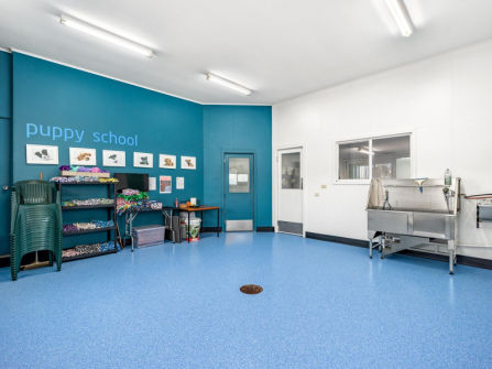 Longstanding Small Animal Veterinary Practice with Loyal Clientele & Modern Facilities