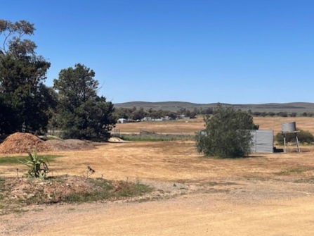 Huge Price Adjustment - Gateway to the Flinders Ranges – Peterborough Caravan Park For Sale