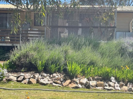 Huge Price Adjustment - Gateway to the Flinders Ranges – Peterborough Caravan Park For Sale