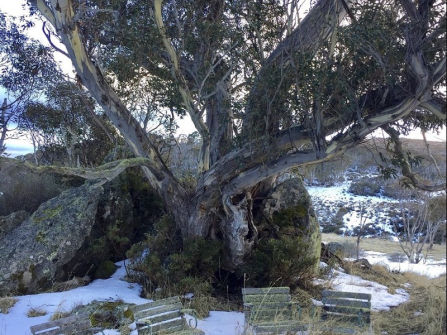 Leasehold for Sale - Alpine Resort with Exceptional Potential 