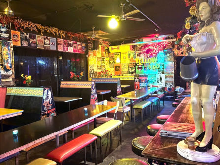 Yellow Bird - Situated prominently on the corner Chapel Street.