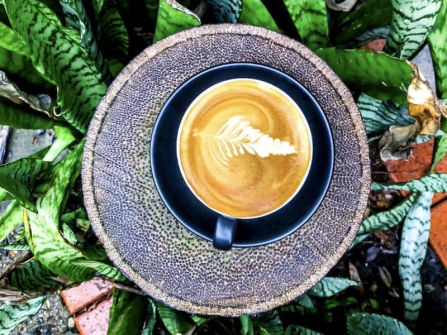 Mid North Coast Award-Winning Organic Bakeries Now For Sale