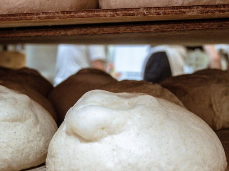 Mid North Coast Award-Winning Organic Bakeries Now For Sale