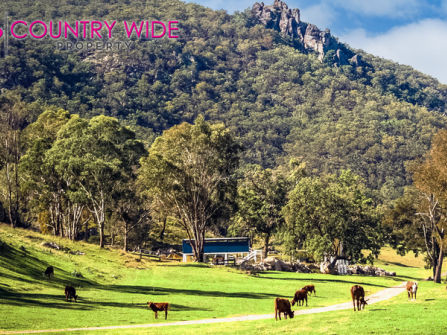 The Ultimate Tree Change & Tourism Opportunity 