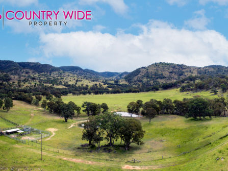 The Ultimate Tree Change & Tourism Opportunity 