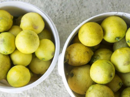 A rare hinterland freehold ideal for faith, community or shared-living groups seeking land, accommodation and a purpose-built gathering destination