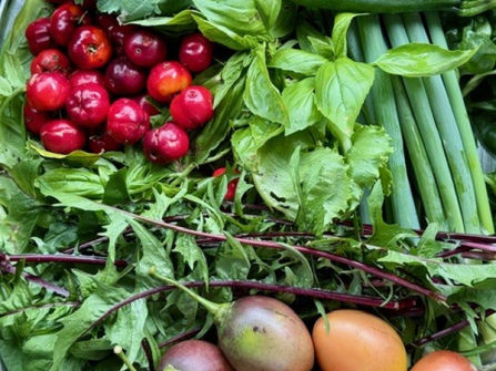 A rare hinterland freehold ideal for faith, community or shared-living groups seeking land, accommodation and a purpose-built gathering destination