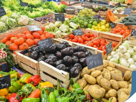 Fruit Grocery Business High-Exposure Under Management Sutherland Shire Sydney