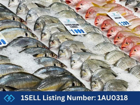 High Performance Seafood Outlet