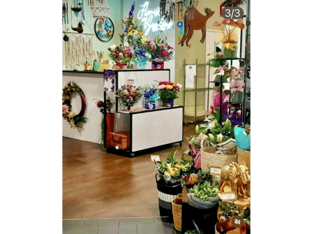 FLORIST GARDENS FOR SALE