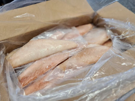 Established & Profitable Wholesale Food Distribution Business
