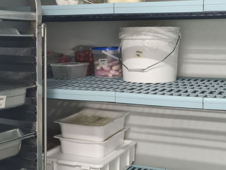 Lasagna Lab - A Piece of Italy in Prahran