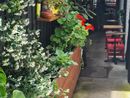 Lasagna Lab - A Piece of Italy in Prahran