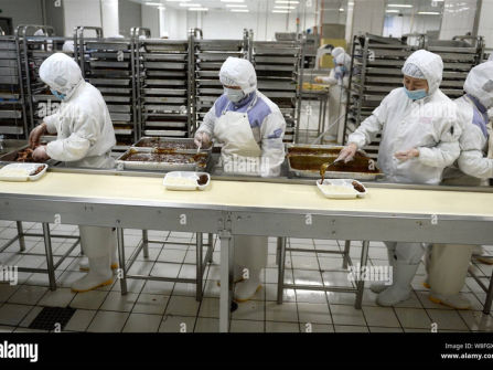 Established Food Manufacturing Business - Over 10 Years of Proven Success